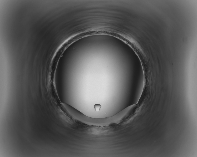 X0000086090880200703301148