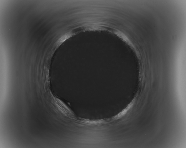 X0000086090881200703301148