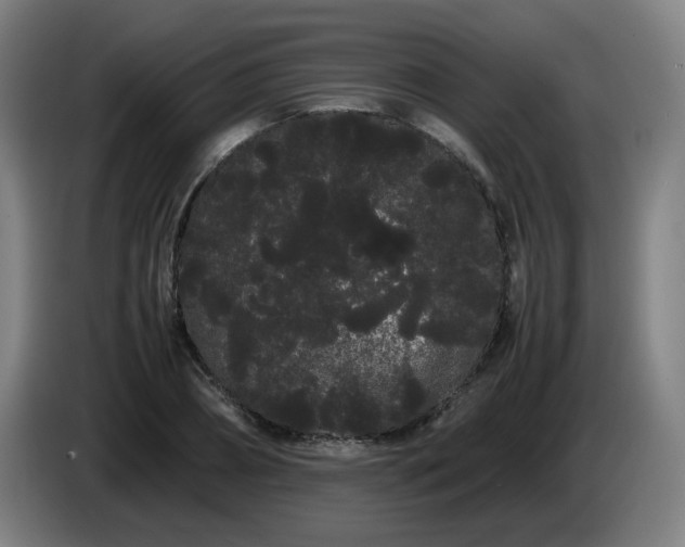 X0000086090882200703301148