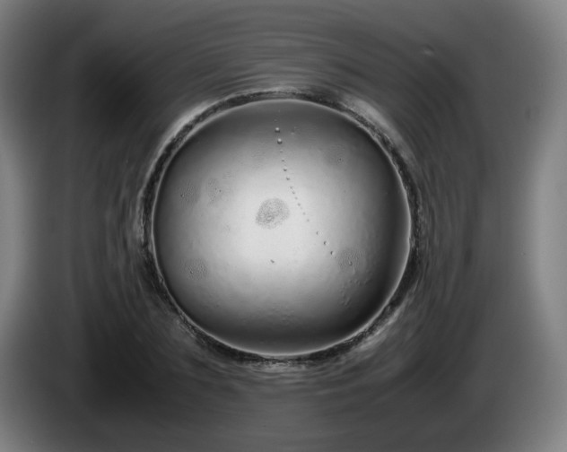 X0000086090883200703301148