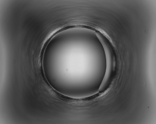 X0000086090885200703301148