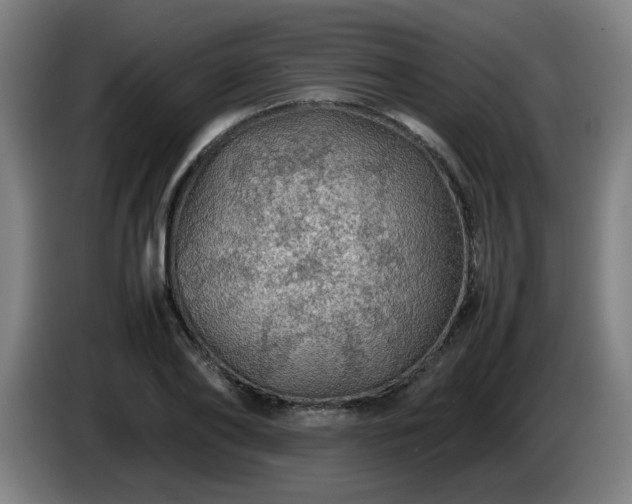 X0000086090886200703301148