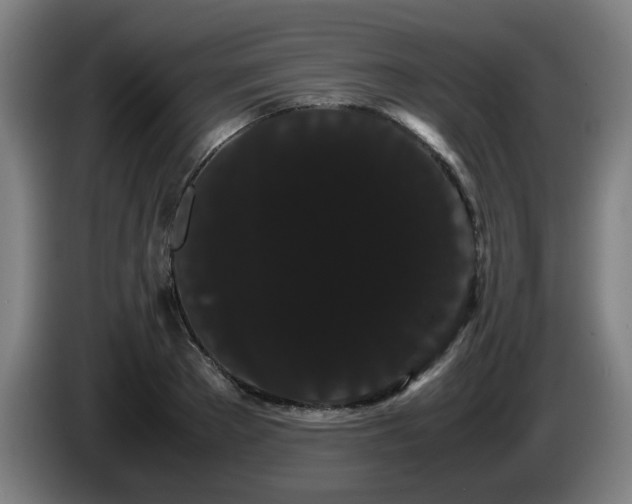 X0000086090889200703301148