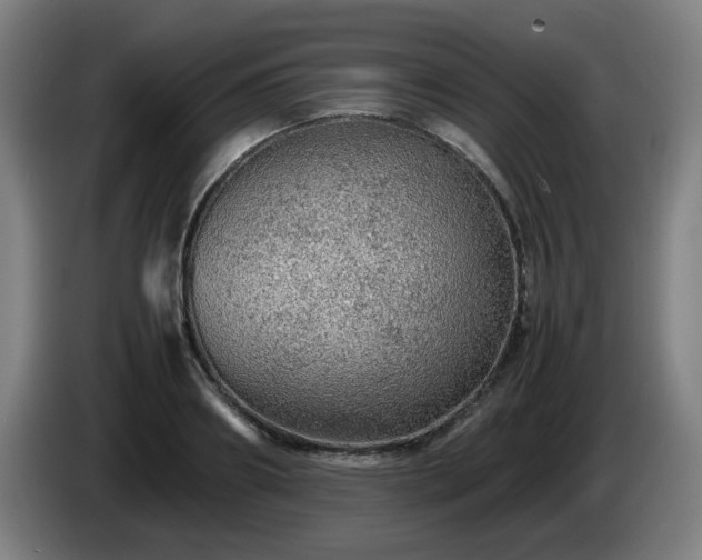 X0000086090890200703301148