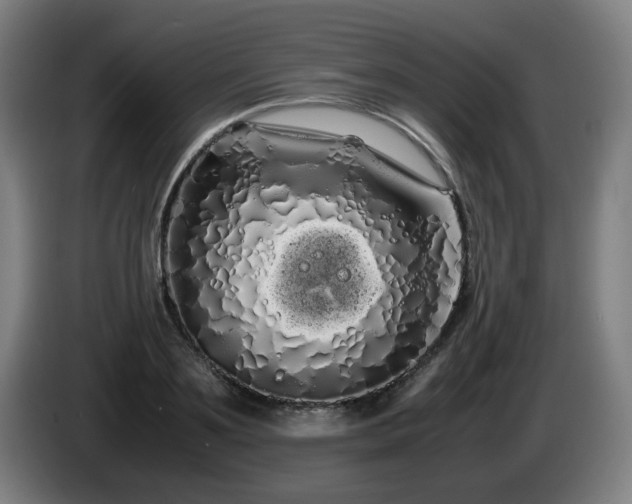 X0000086090891200703301148