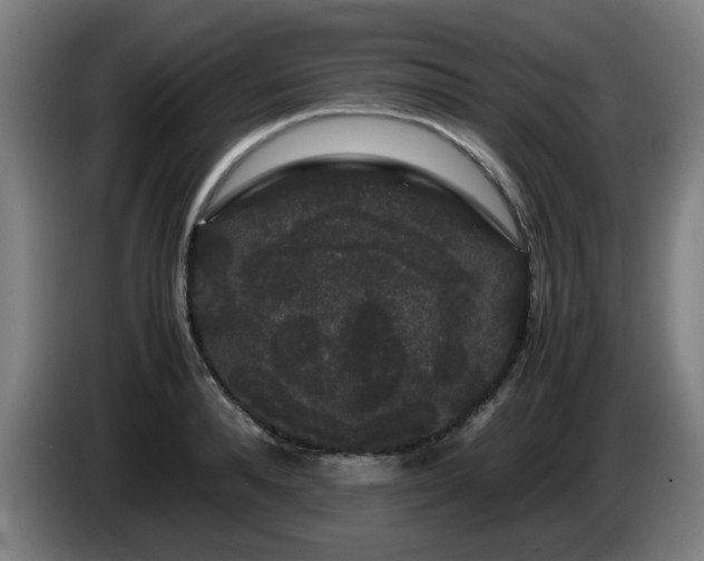 X0000086090896200703301148