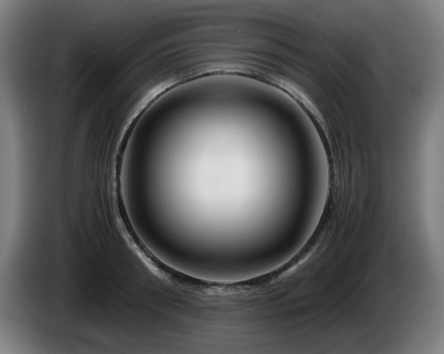 X0000086090898200703301148