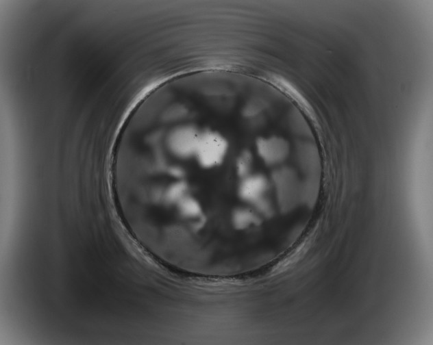 X0000086090899200703301148