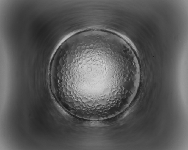 X0000086090903200703301148