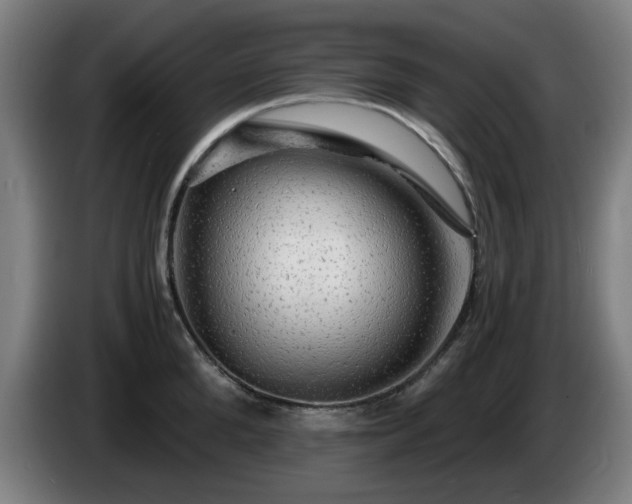 X0000086090904200703301148