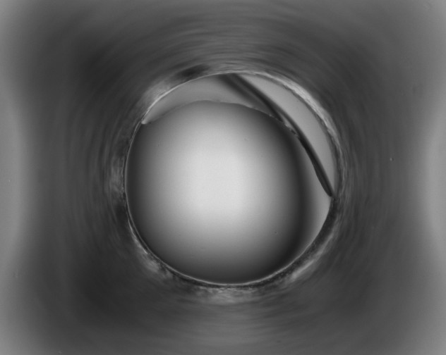 X0000086090905200703301148