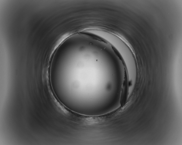 X0000086090906200703301148