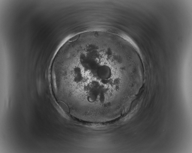 X0000086090907200703301148