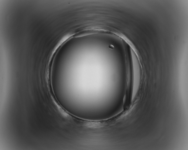 X0000086090909200703301148