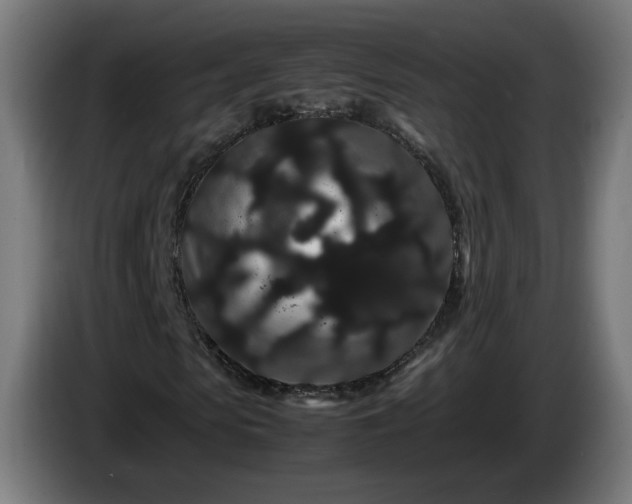 X0000086090913200703301147