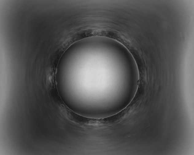 X0000086090914200703301147