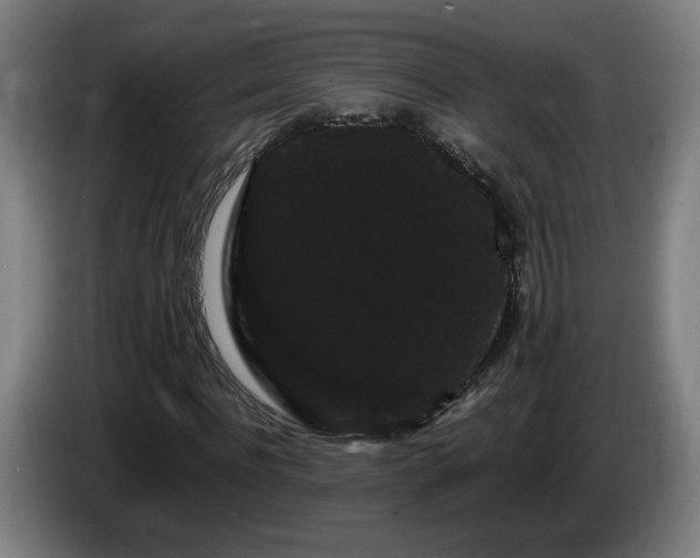 X0000086090916200703301147