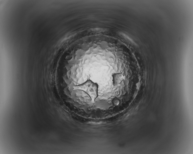 X0000086090917200703301147