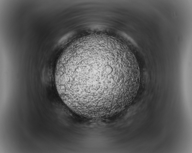 X0000086090918200703301147