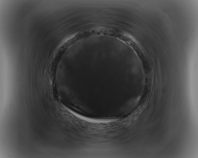 X0000086090919200703301147