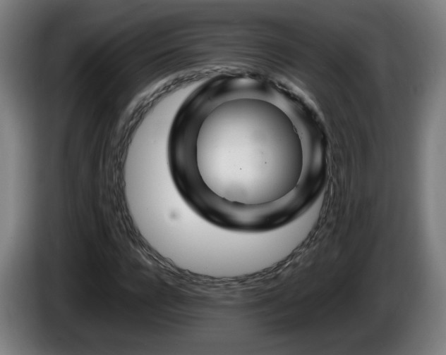 X0000086090920200703301147