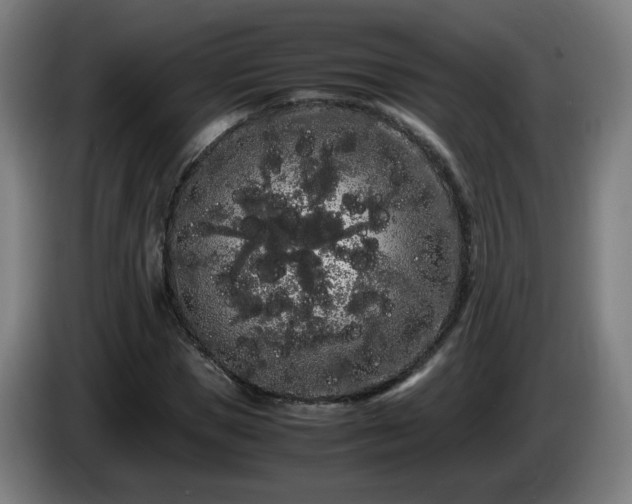 X0000086090921200703301147