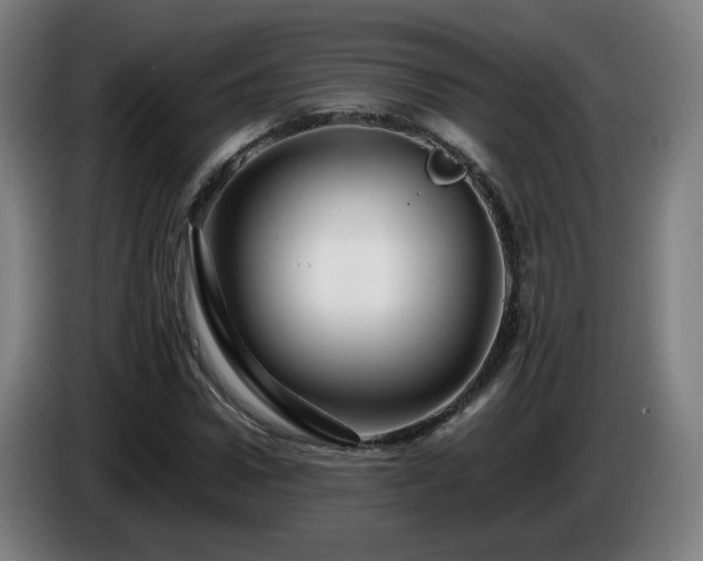 X0000086090922200703301147