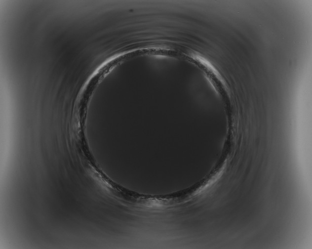 X0000086090923200703301147