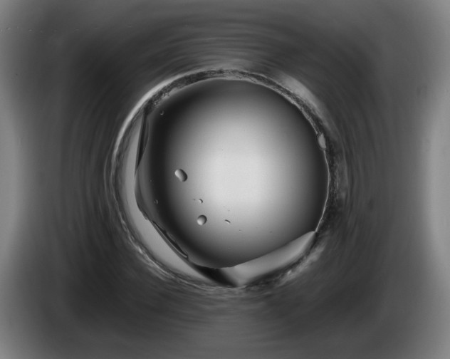 X0000086090924200703301147