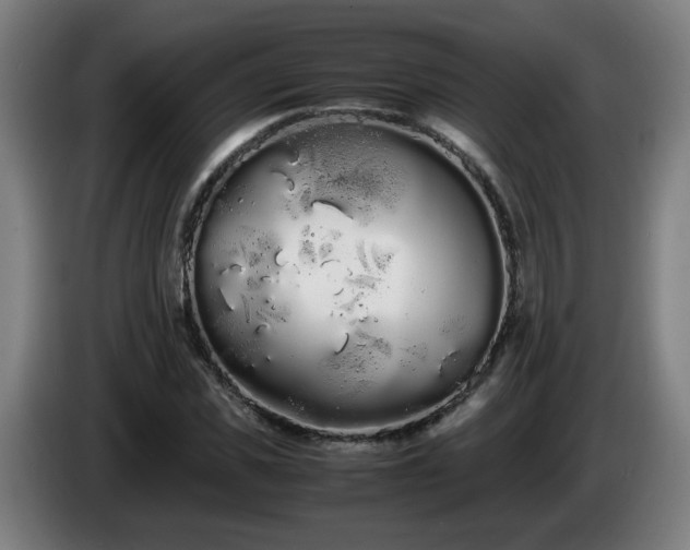 X0000086090925200703301148