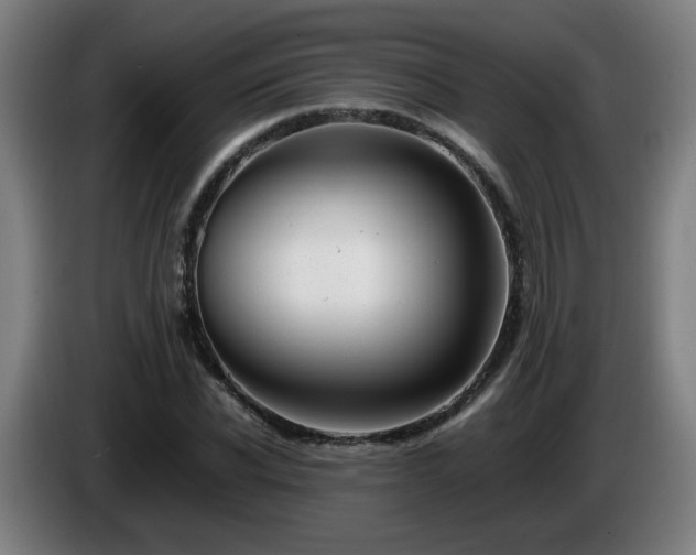 X0000086090926200703301148