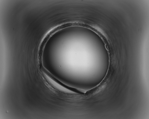 X0000086090927200703301148