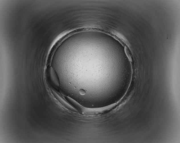 X0000086090928200703301148