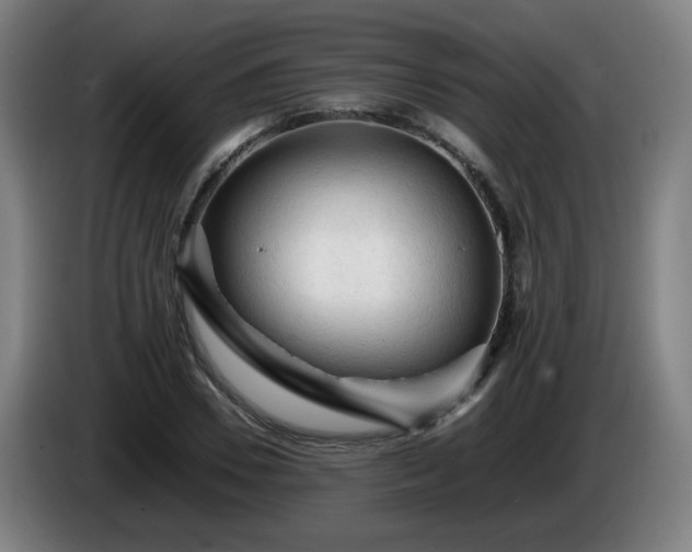 X0000086090930200703301148