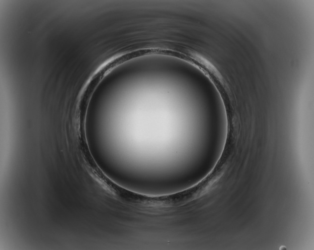 X0000086090931200703301148