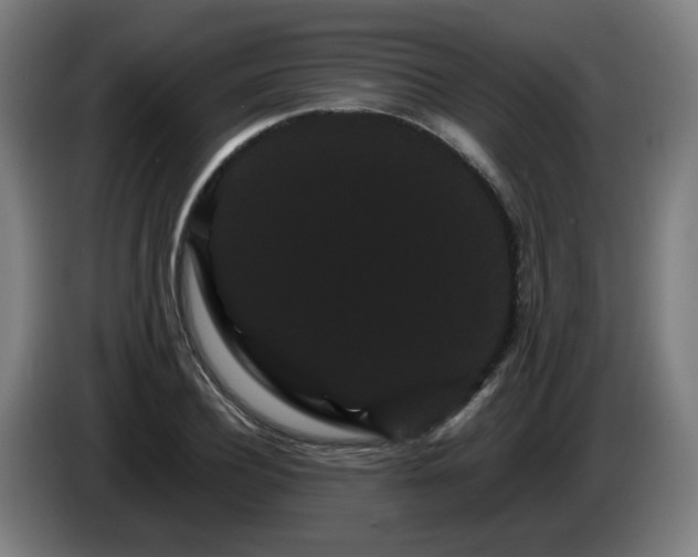 X0000086090932200703301148