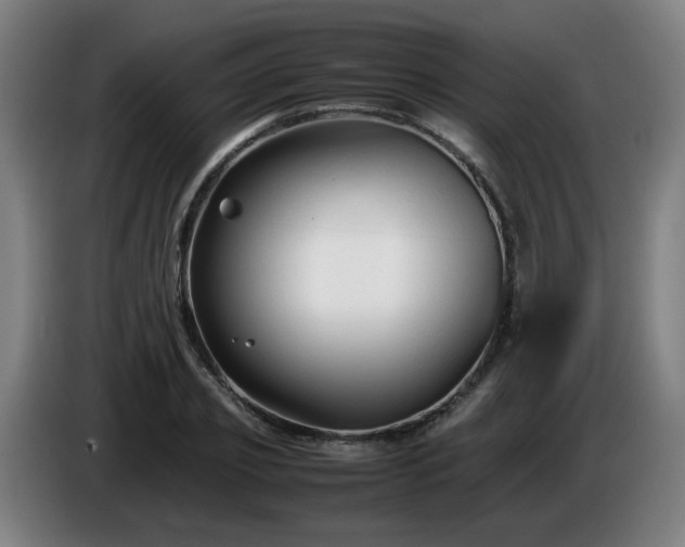 X0000086090933200703301148