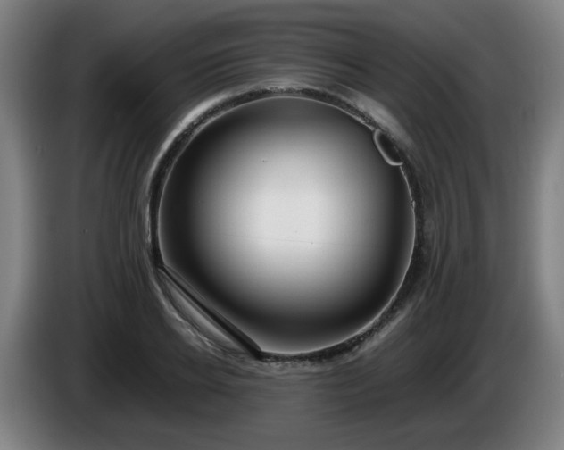 X0000086090934200703301148