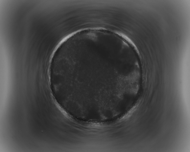 X0000086090935200703301148