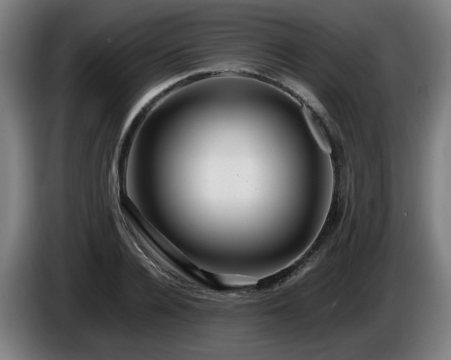 X0000086090936200703301148