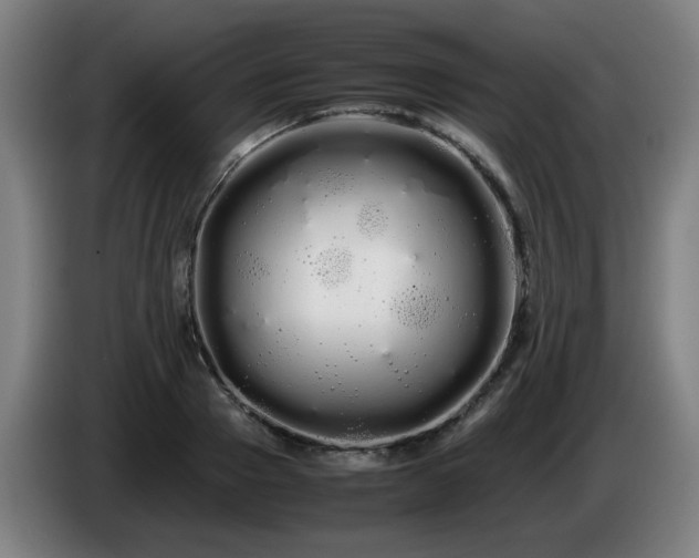 X0000086090937200703301148