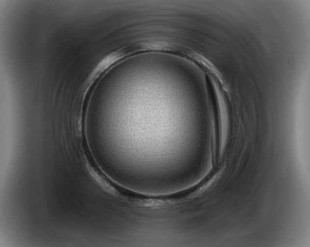 X0000086090938200703301148