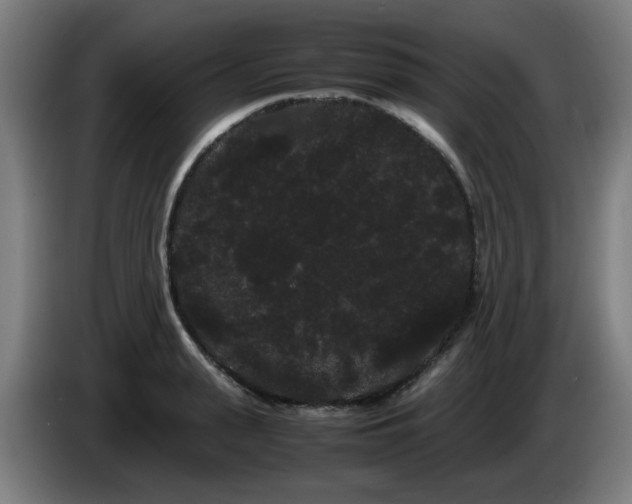 X0000086090943200703301148