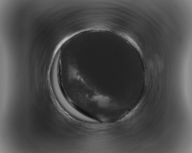 X0000086090944200703301148