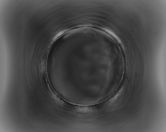 X0000086090945200703301148