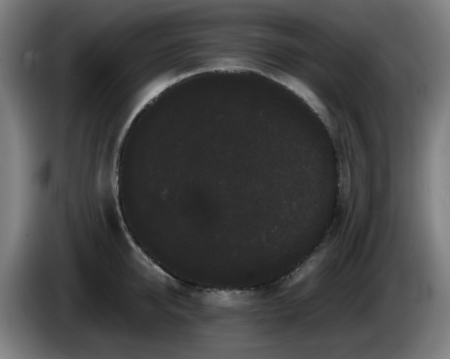 X0000086090950200703301148