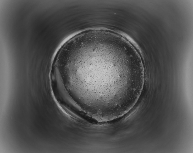 X0000086090951200703301148