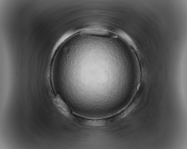 X0000086090952200703301148