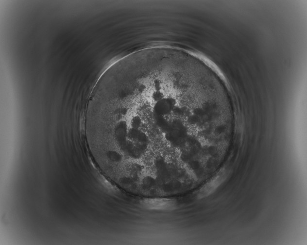 X0000086090953200703301148