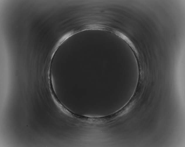 X0000086090954200703301148